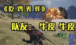 周公鸡爆料视频大全集,揭秘娱乐圈幕后真相